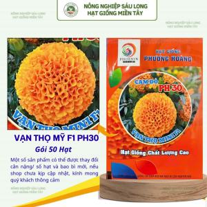 Gói 50 Hạt Vạn Thọ Siêu Lùn F1 PH30 – Cam Đỏ Cao 20–30cm