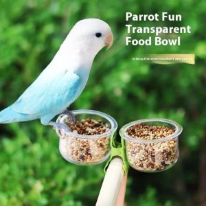 OUTOPEN Transparent Bird Cage Feeder Wear-resistant With Clip Parrot Food Bowl Bird Perch Stand Feeding Basin Pet Bird Feeder Small Pet Bird