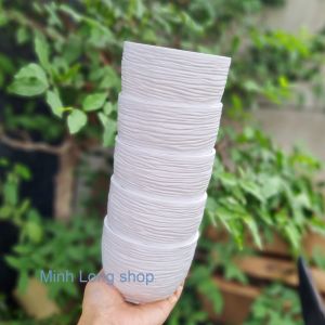Bộ 05 hoặc 10 chậu sóng tròn nhí 10x8cm  trồng sen đá bonsai mini nhựa dày đẹp màu trắng