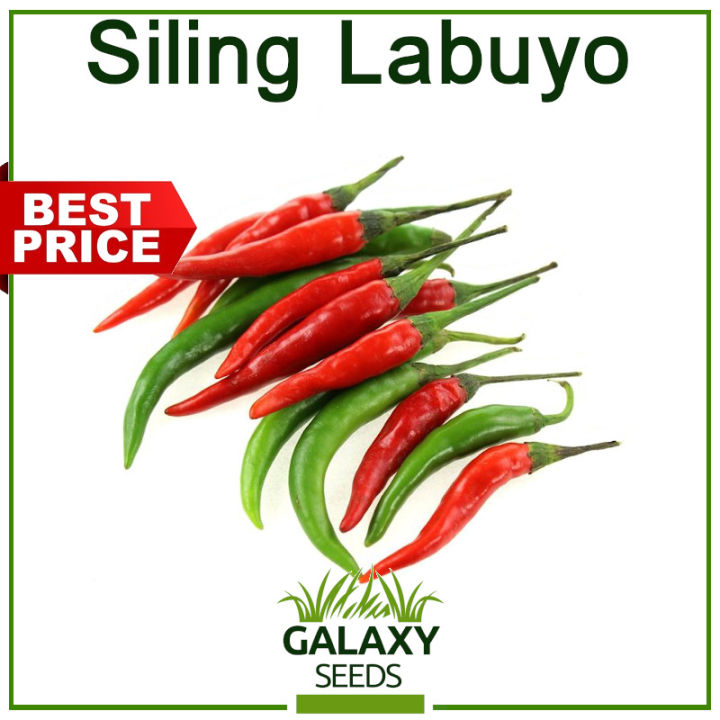 "GalaxySeeds" Siling Labuyo Seeds for Planting Vegetable Plants (+/60