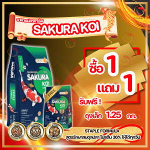 📌ซื้อ1แถม1 ❗ 🌾 อาหารปลาคาร์ฟ Sakura Koi (ซากุระ โค่ย) 🌾 Wheatgerm Formula สูตรเร่งโต โปรตีน38% ขนาด6.5 กก. เม็ดลอย