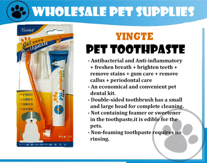 YinGte DENTAL CARE SET (Toothpaste & Brush) 70g Lazada PH