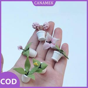 CANAMEK✨ 2 cái 1:12 Dollhouse đồ nội thất phụ kiện trang trí cảnh quan Mini cây hoa nhỏ chậu trang trí nội thất đất sét