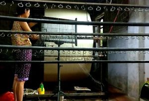 Vải Lụa Tơ Tằm Palacesilk hoa hồng thọ các màu may áo bà ba áo dài và các loại váy đầm