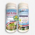 PACLO 15 - SIÊU CỨNG CÂY, CHỐNG ĐỔ NGÃ, THÚC ĐẨY RA HOA SỚM. 