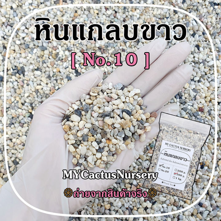 หินแกลบขาว No.10 สำหรับโรยหน้ากระถางแคคตัส