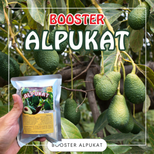 Booster Alpukat / Pupuk Booster Hayati Khusus Tanaman Alpukat