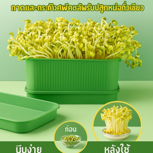 การงอก ถาดเพาะกล้า ภาชนะปลูกต้นไม้ วัสดุพลาสติกที่เป็นมิตรต่อสิ่งแวดล้อม รูระบายน้ำเพื่อความปลอดภัย พืชหลายชนิด การปลูกพืชแบบไฮโดรโปนิกส์แบบธรรมชาติ ไม่มีสารเติมแต่ง