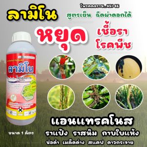 โพรคลอราช 45% EC โพรคลอราซ  ลามิโน (สตรเย็น) กำจัดโรคพืช เชื้อราโรคพืช แอนแทรคโนส ราแป้ง ราสนิม ใบจุด สแคป กุ้งแห้ง หอมเลื้อย กาบใบแห้ง เมล็ดด่าง  1 ลิตร