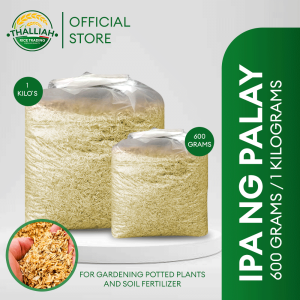IPA ng palay Rice Hull  20 LITTER Approximately equal 2.5kg to 3kg READY TO SHIP GOOD GOR GARDENING