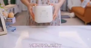 【Free Gift】Egg Boiler 3 Pin Plug Malaysia Egg Steamer Half Boiled Egg Maker ur Separuh Masak Maker Egg 煮蛋器 蒸蛋器