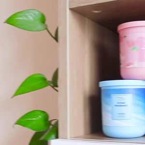 LZD  Automobile Air Freshener Bathroom Odor Removal Ointment Aromatic Car Aromatpy Solid Balm Ointment