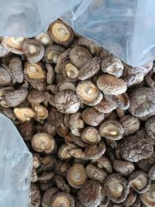 Nấm Đông cô loại 1 trọng lượng 500gr