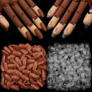 200PCS Replacement Nail Tips for Acrylic Nails Practice Hand 100PCS Brown and 100pcs Clear Fake Nails with for Nail Hand Practice