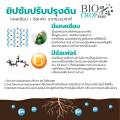 ยิปซัมบอล  แคลเซียมซัลเฟต (ชนิดเม็ด) ใช้ทางดิน  ช่วยบำรุงรากให้แข็งแรง ฟื้นฟูระบบรากได้รวดเร็ว (แบ่งขาย). 