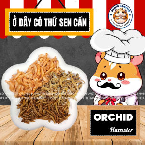 Hạn Trùng Ngư Bổ Sung Đạm + Protein Kích Thích Vị Giác Bé Ngon Miệng Hơn