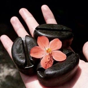 💥สบู่สครับกาแฟขมิ้นมะขามน้ำผึ้ง