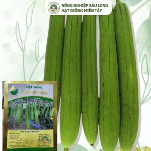Hạt Giống Mướp Hương Melo 58 & 62 (Gói 10 Gam) - Thời vụ trồng quanh năm