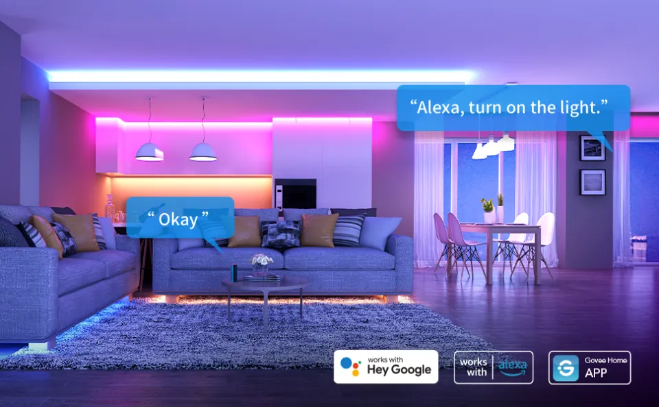 Govee 2024 home alexa