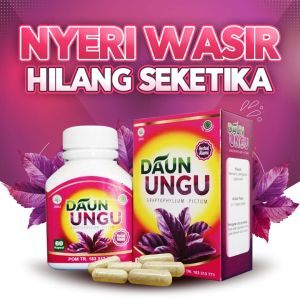 Kapsul Daun Ungu – Solusi Herbal untuk Mengatasi wasir ambeien Stadium 4