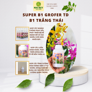 SUPER B1 GROFER THÁI LAN – RỄ MẬP CHỒI KHỎE HOA ĐẸP  CHAI 100ML - MAI HUY SINCE 2008