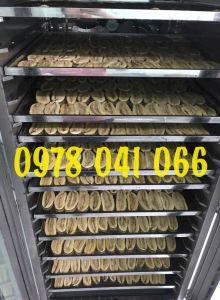 Tủ sấy thuốc thảo dược trái cây nông sản các loại 20 khay INox