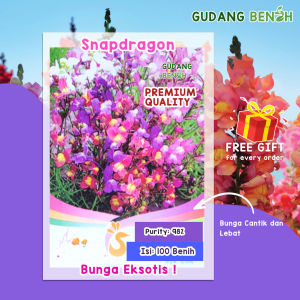Bibit Tanaman / Bibit Bunga / Bunga Snapdragon Berkualitas Isi 100 Benih / Bibit