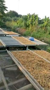 kerupuk/dorokdok/rambak/jangek/krecek kulit sapi mentah 5kg harga grosir