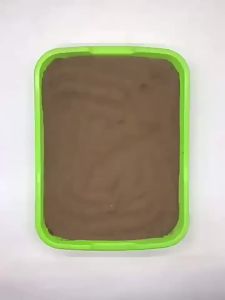 พันธุ์ดอกโบตั๋นผีเสื้อ พันธุ์ดอกไม้ที่ชอบร่มเงา พันธุ์ดอกเบลล์ฟลาวเวอร์ กะหล่ำปลีสำหรับพืชในกระถาง