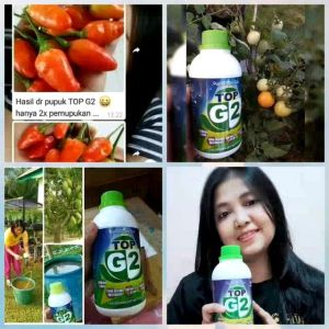 BBM-Pupuk TOP G2 semua jenis tanaman dan ternak
