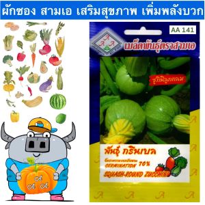 AAA 🇹🇭 ผักซอง สามเอ A141#ชูกินิลูกกลม กรีนเบล เมล็ดพันธุ์ ชูกินิ เมล็ดพันธุ์ผัก เมล็ดผัก ผักสวนครัว ตราAAA