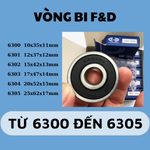 Vòng bi F&D 6300 6301 6302 6303 6304 6305