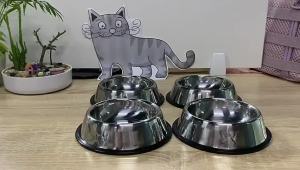 Bowl Dog Bowl Dog Food Bowl Stainless Dog bowl water bowl Cat bowl Durable bowl