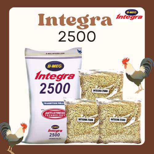 [CLR AGRIVET] 1kg B-MEG Integra 2500 Transition Pellet Repacked ...