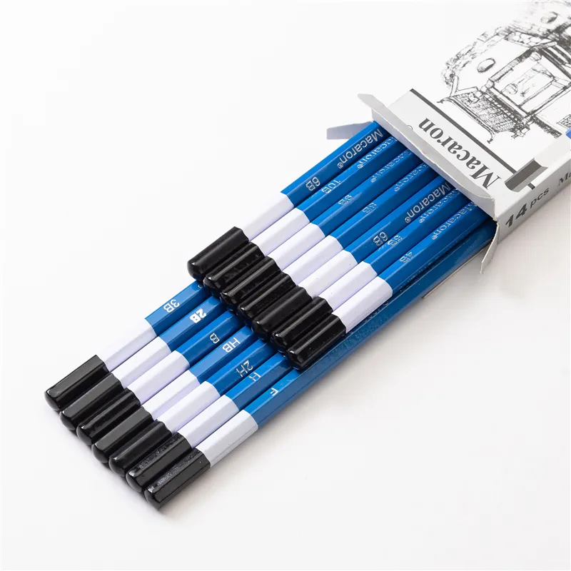 14Pcs Professional Sketch Charcoal Pencils Set 2H-10B for Artists and  Beginners, High-Quality Wooden Lead Drawing and Sketching Art Supplies