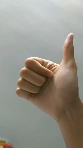 Buyer review video 2