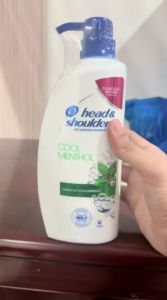 Head and Shoulders Shampoo Anti Kelemumur / Anti Dandruff Cool Menthol 750ml