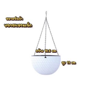 กระถางพลาสติกแขวนทรงกลมมีรูระบายน้ำพร้อมส่ง