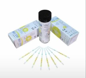 DFI STRIP CEK URIN DUS 10 M - URINE ANALYZER STRIP