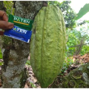 Paket Pupuk Paten 6 + Paten IMUN 6 meningkatan Kinerja Paten 10x Lipat / Pcs Free Bubble