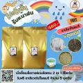 โปรโมชั่นรับหน้าฝนซื้อครบรับฟรี. 