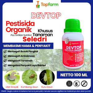 Obat Hama Daun Seledri / Obat Bercak Daun Pada Seledri / Obat Busuk Batang Seledri / Obat Hama Seledri / Obat Hama Buat Seledri/ Obat Bercak Daun Pada Seledri  / Obat Hama Tanaman Seledri