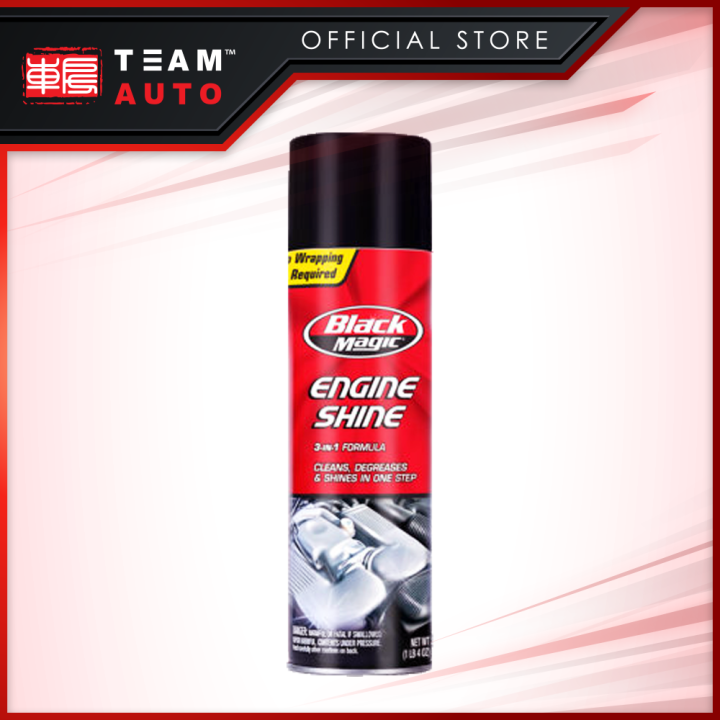 Team Auto TAP15640 RainX car engine compartment cleaning coating