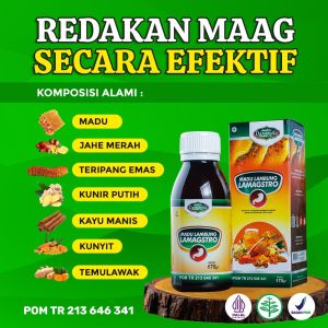 Madu Lambung Lamagstro Untuk Maag Asam Lambung Gerd dan Masalah Pencernaan kemasan ekonomis Isi 175gram Garansi 100% ORIGINAL TERMURAH