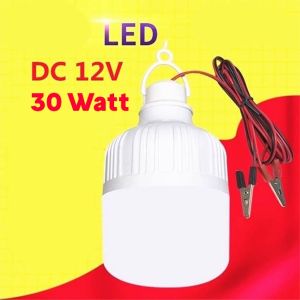 Lampu Bohlam LED DC 12V 30Watt 30W Jepit ke Baterai / Aki Accu
