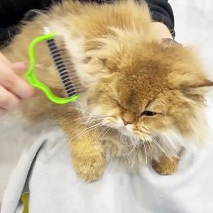 Kirilgu Stainless Steel Double Sided Hair Remover Comb Ideal forGrooming Sessions 9H4B3