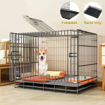 Cage for shih tzu best sale