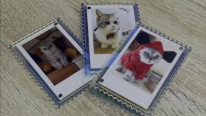 WINKINE Polaroid Magnets Frame for Refrigerator 2x3 inch Acrylic Fridge Magnetic Instax Frame Polaroid Frame for PicturesInstax Frames for Fujifilm & Polaroid Film Display (6 Pack)