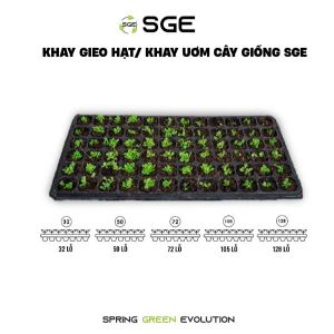 Combo Khay Ươm Hạt SGE GT Làm Từ PET Dẻo Dai Có Lỗ Thoáng Khí Giúp Cây Lớn Nhanh Không Bắt Nắng Bền Đẹp Giá Hấp Dẫn