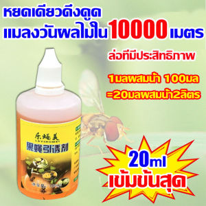 เมทิลยูจินอล 100มล ล่อแมลงวันทอง น้ำหอมล่อแมลงวันทอง ตัวล่อแมลงวันทอง สารล่อแมลงวัน ป้องกันแมลงวันทอง สารล่อแมลงวันทอง